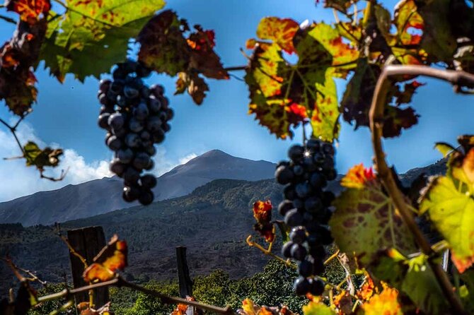Etna e Vino un'esperienza tra natura e profumi con gusto.