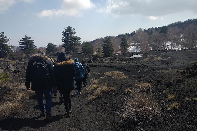 Tour di mezza giornata sull'Etna per piccoli gruppi da Taormina